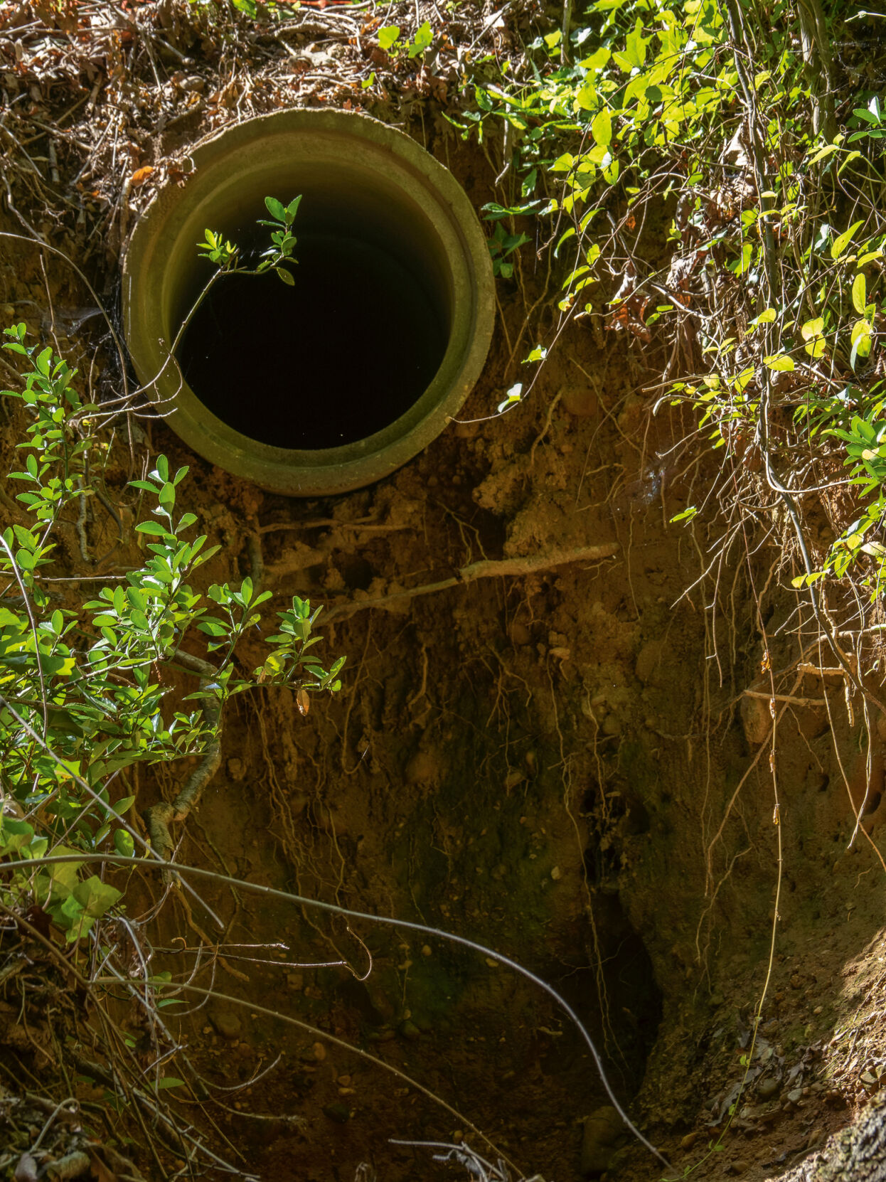 Stormwater outfall with eroding bank